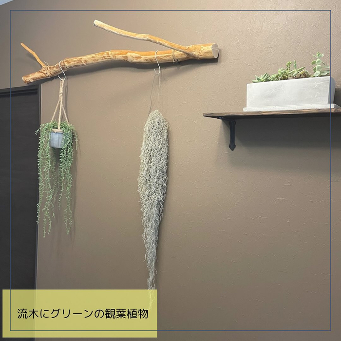 画像520