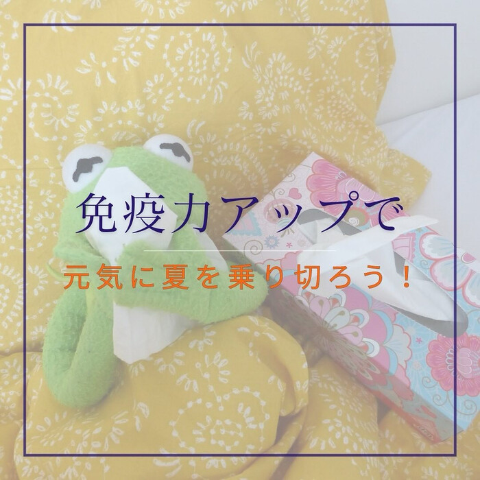 画像523