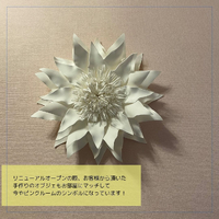画像528