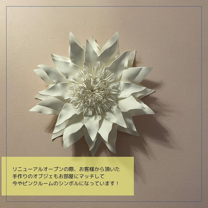 画像528