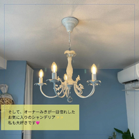 画像537