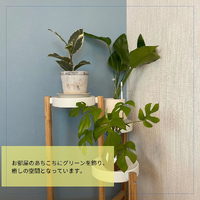 画像538