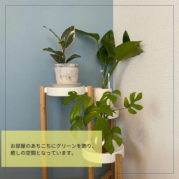 画像538