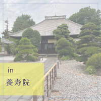 画像550