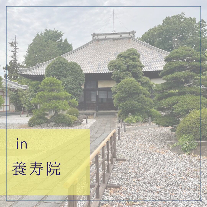 画像550