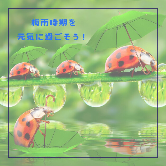画像571
