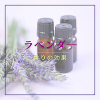 画像591