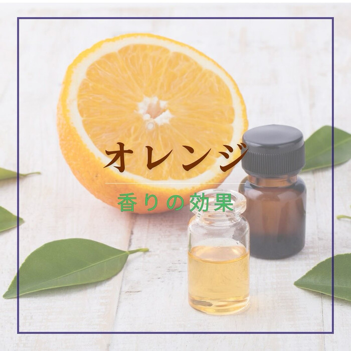 画像619