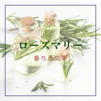 画像630