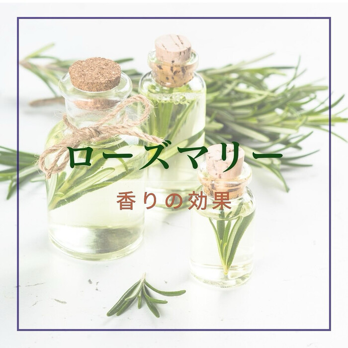 画像630