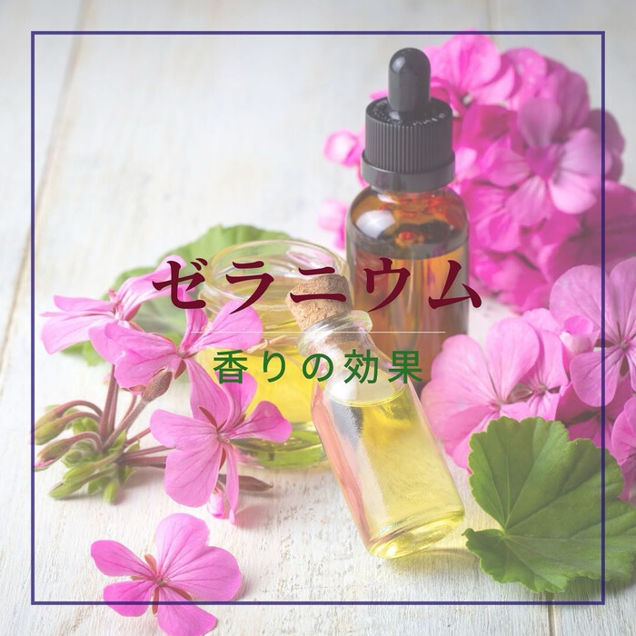 画像641
