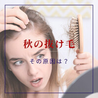 画像738