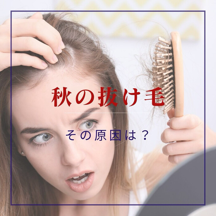 画像738