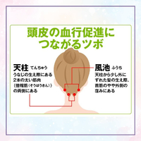 画像792