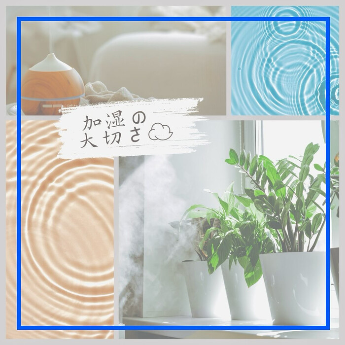 画像848
