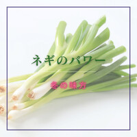 画像858