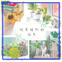 画像862