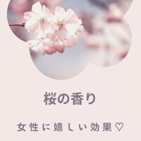 画像969