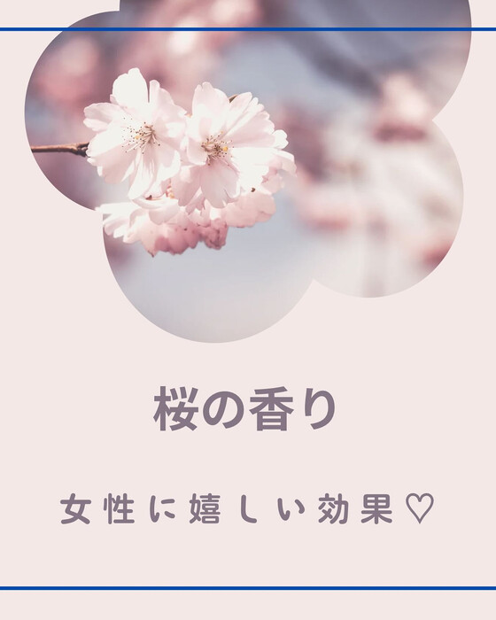 画像969