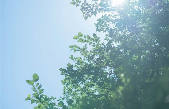 【その疲れ、夏バテではないかもしれません。】