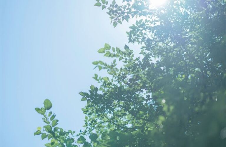 【その疲れ、夏バテではないかもしれません。】